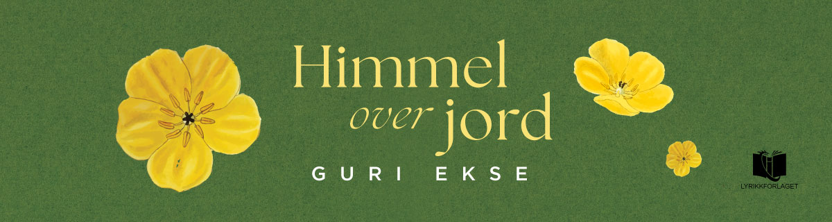 Himmel over jord