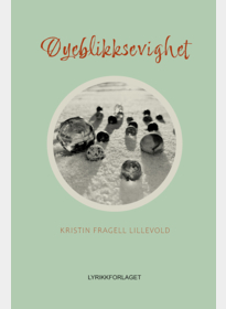 Øyeblikksevighet