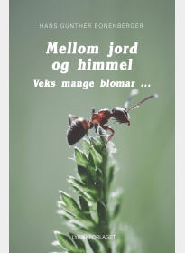 Mellom jord og himmel