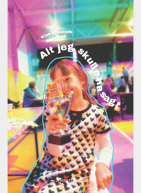 Alt jeg skulle ha sagt