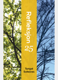 Refleksjon 25