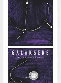 Galaksene