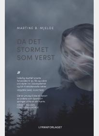 Da det stormet som verst