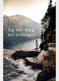 Eg vel meg eit sidespor