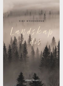 Landskap i dis