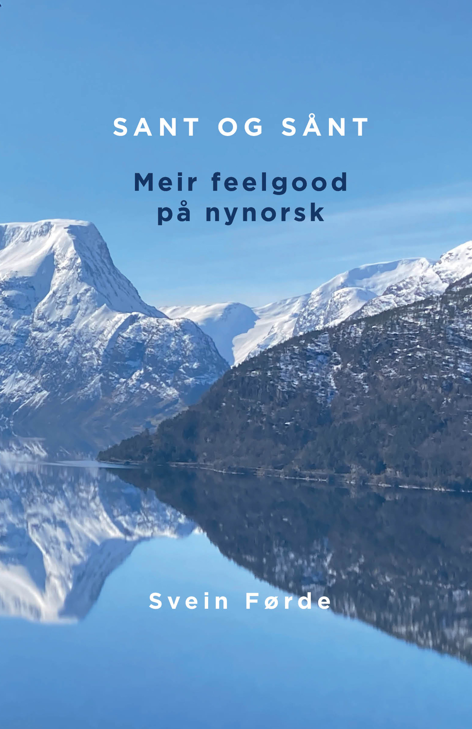 Sant og sånt - meir feelgood på nynorsk