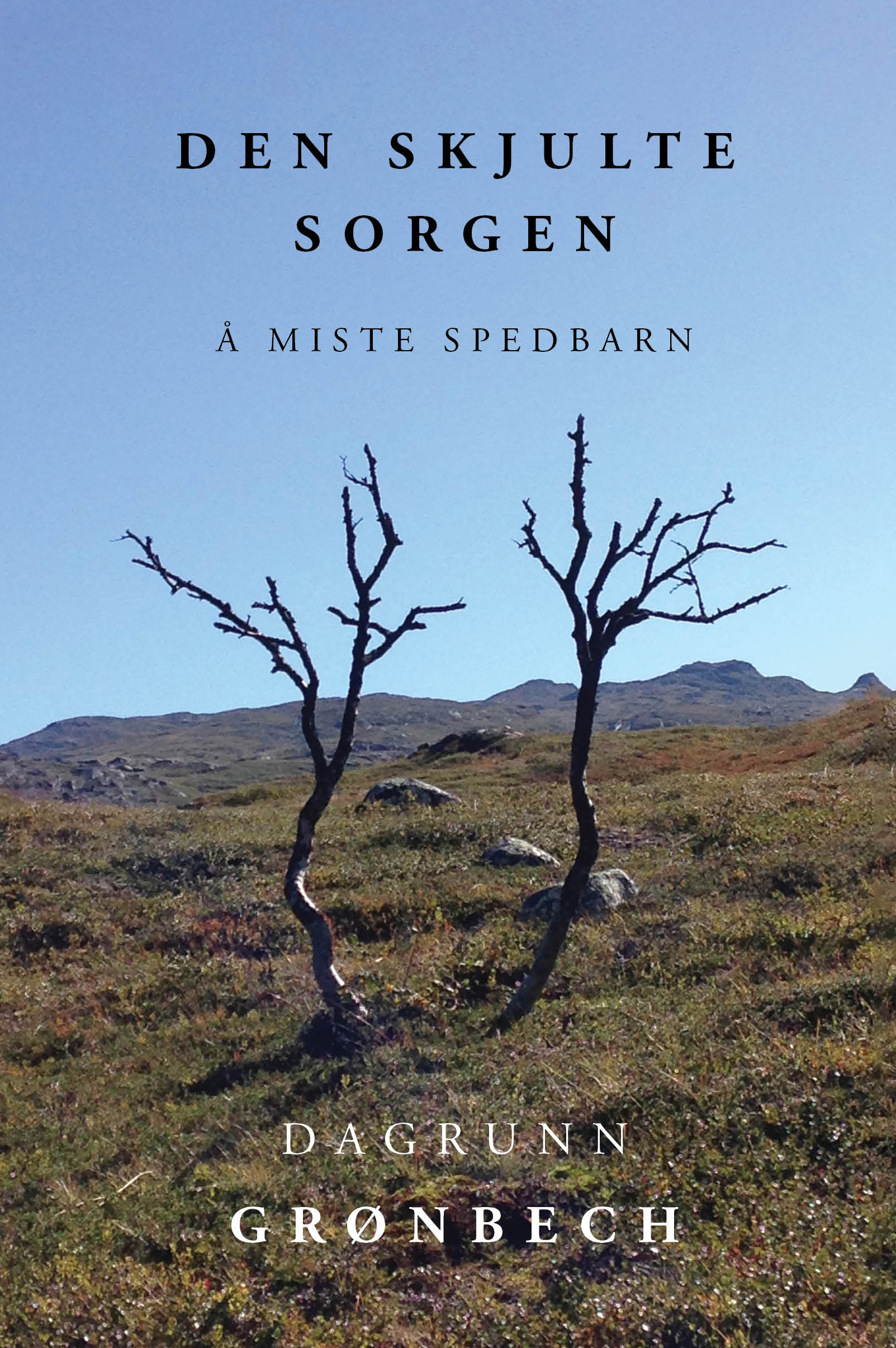 Den skjulte sorgen. Å miste spedbarn
