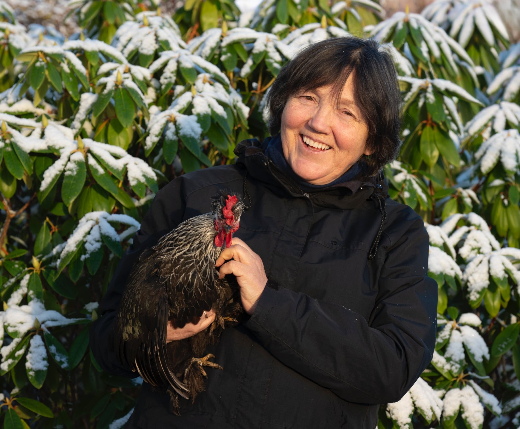 Pensjonisten som maler med ord