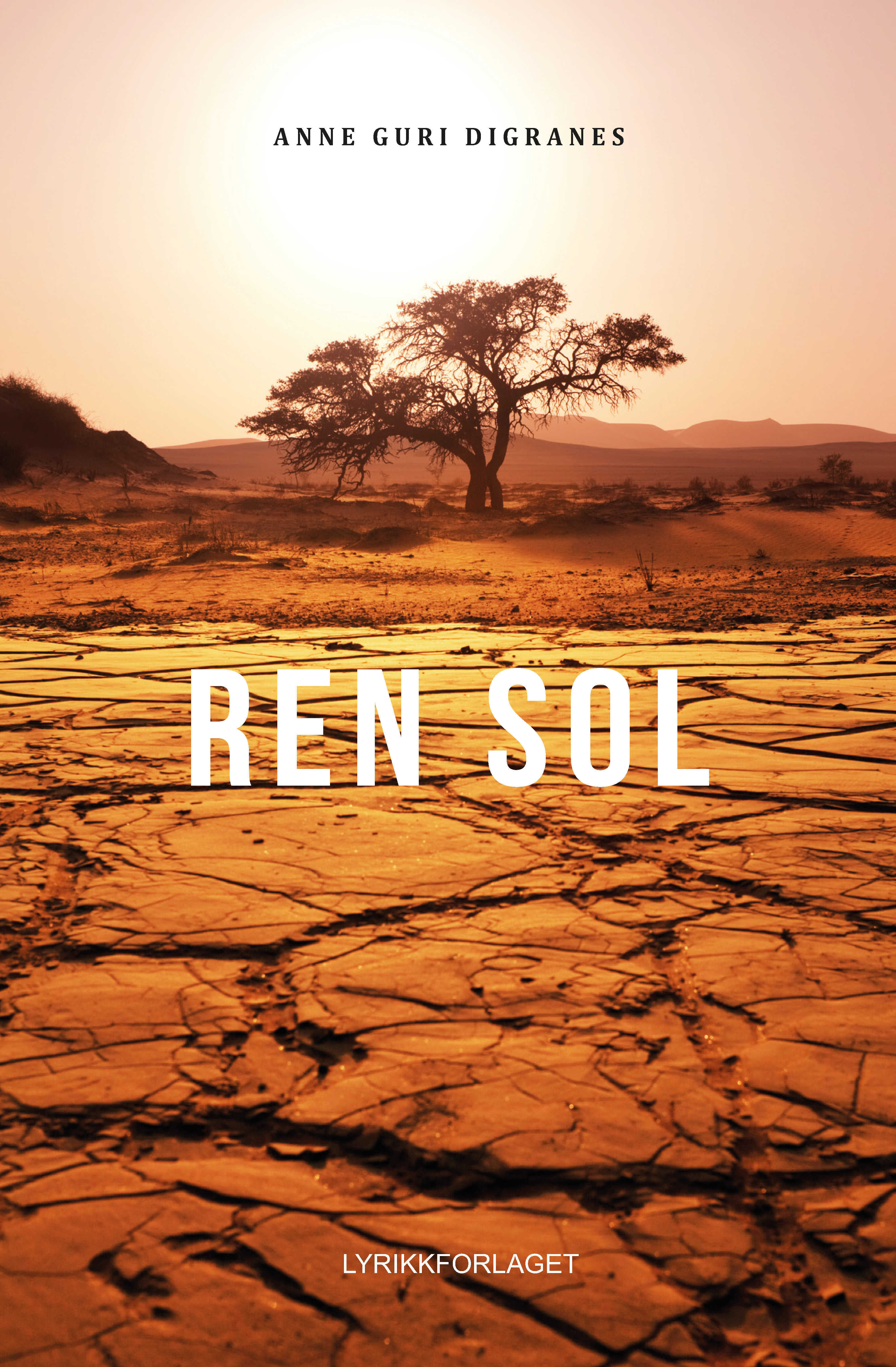 Ren sol