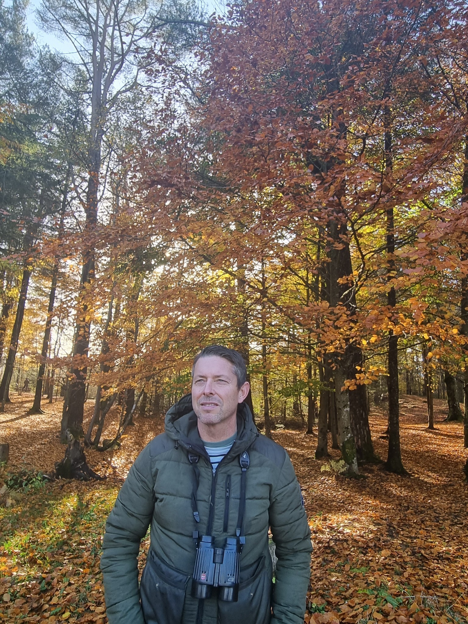 Kjærlighetens mangfold i musikalsk form