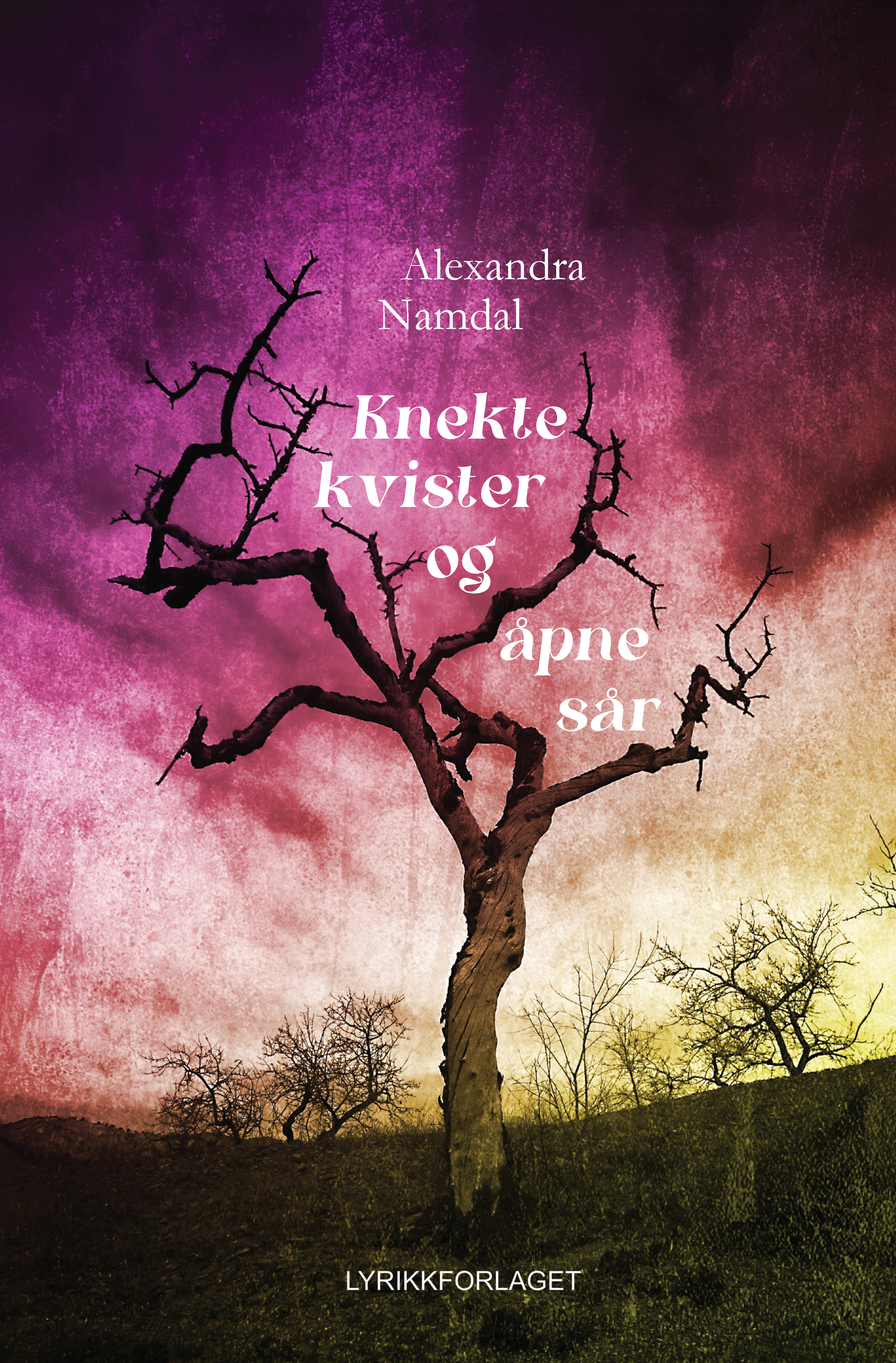 Knekte kvister og åpne sår